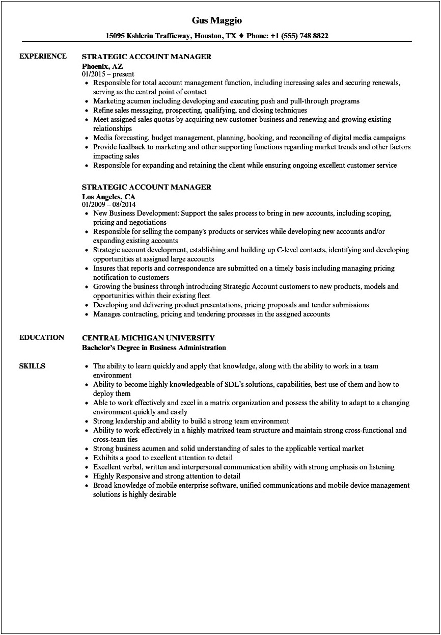 Small Business Account Manager Resume