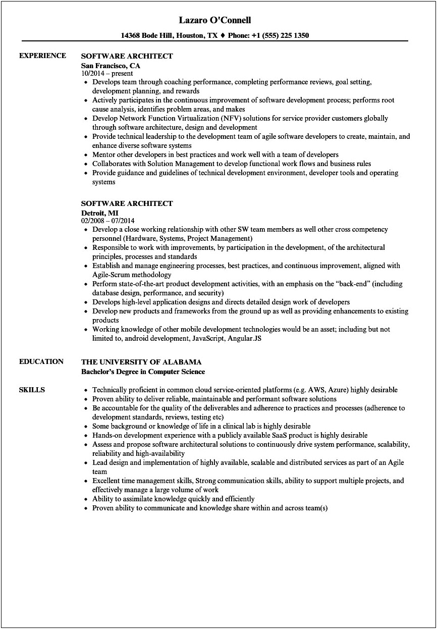 Software Architect Resume Template Free