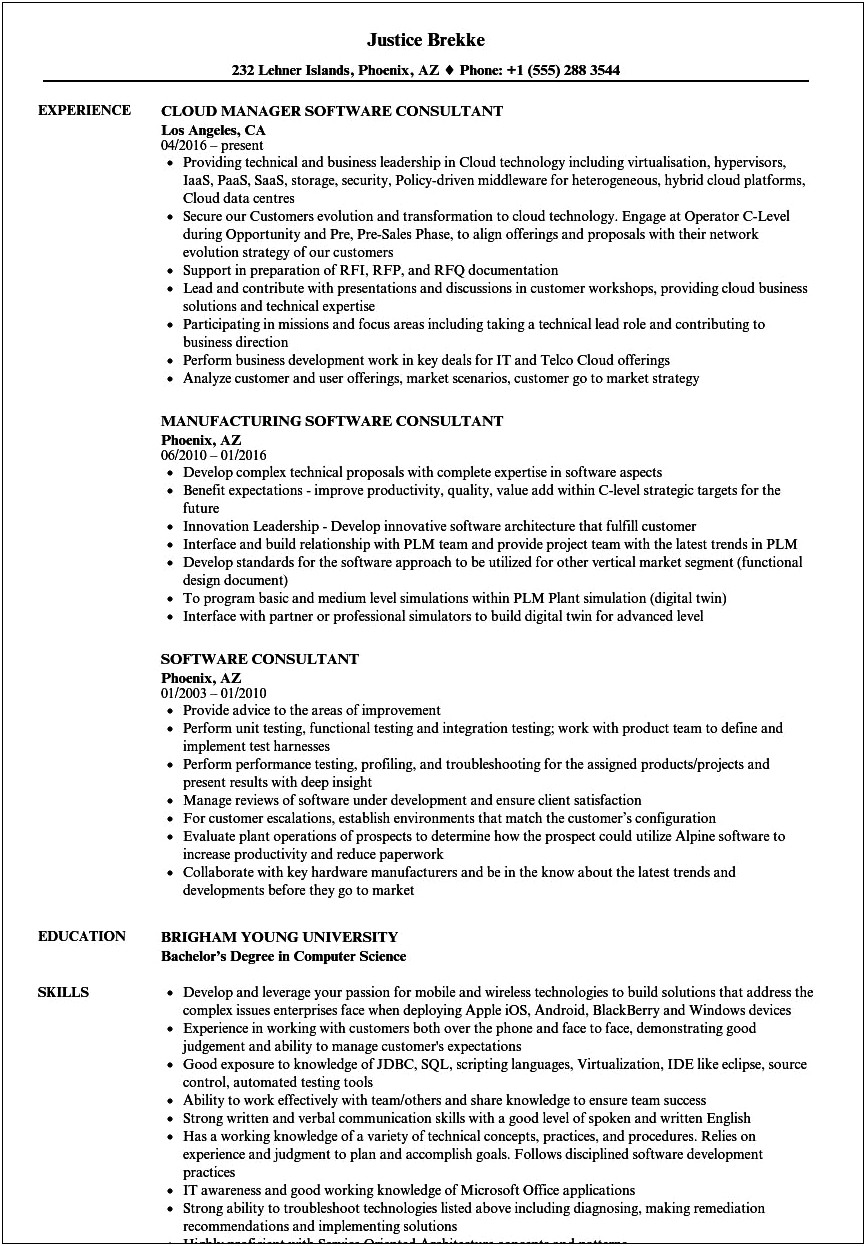 Software Consultant Job Description Resume