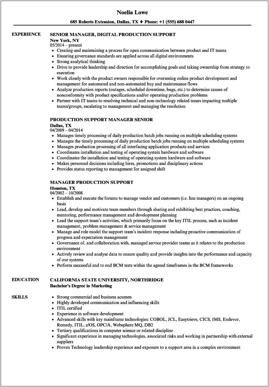 Software Support Resume Objective Examples