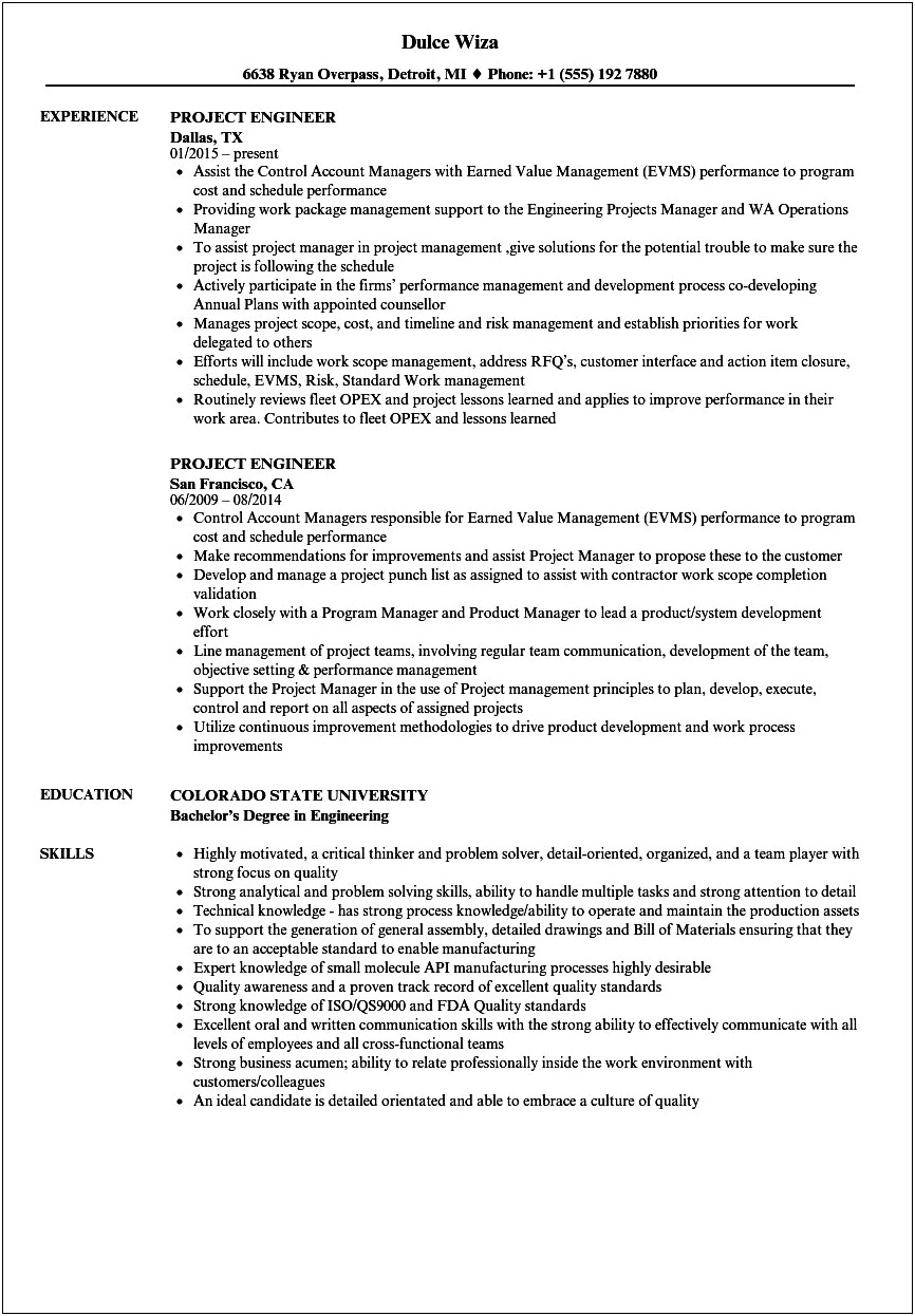 Solar Project Manager Resume India