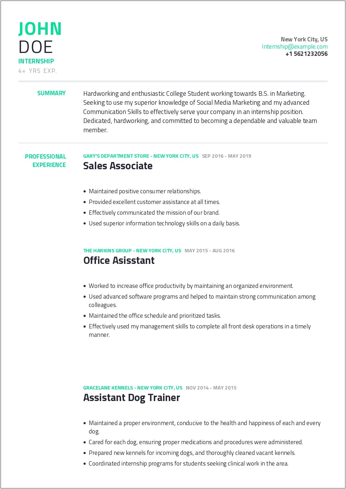 Student Resume Examples For Internship