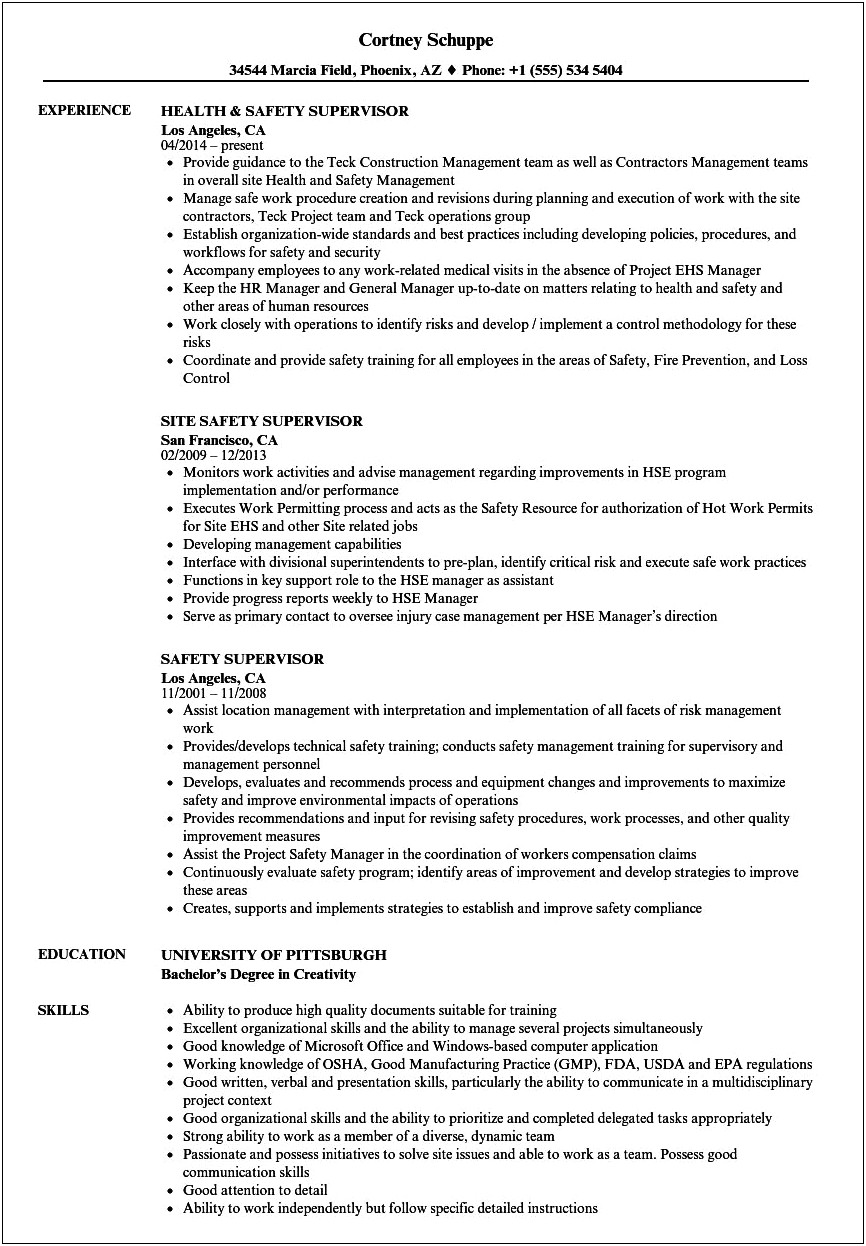 Summary For Safety Manager Resume