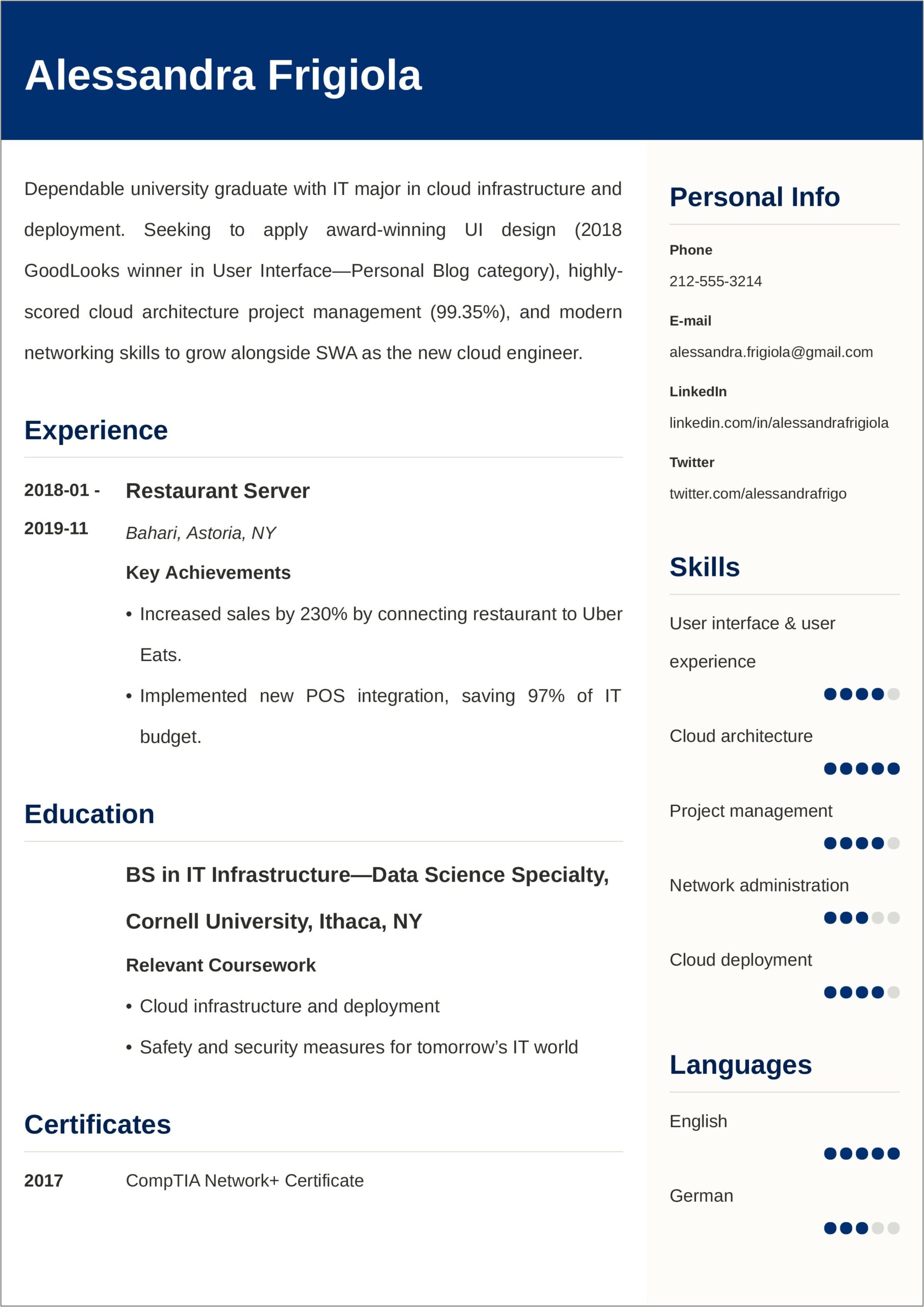 Summary Resume Example Entry Level