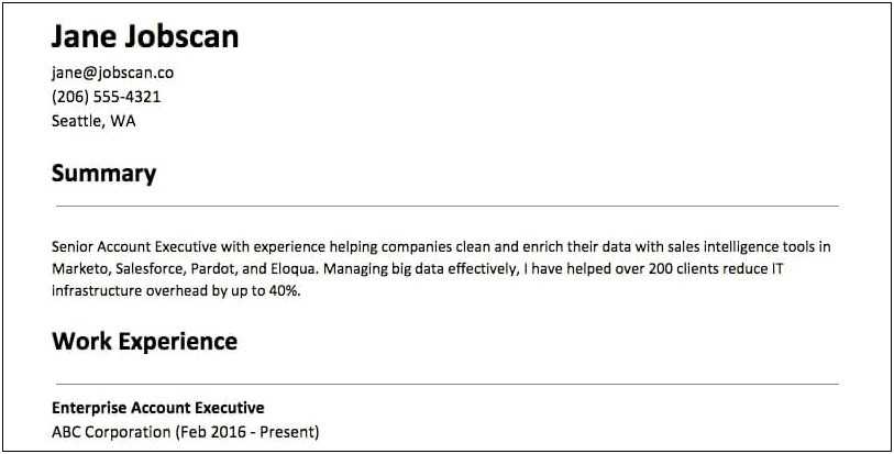 Summary Sample For A Resume