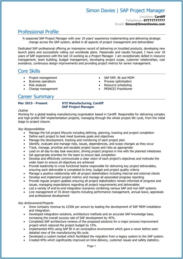 Summary Statement Resume Project Manager