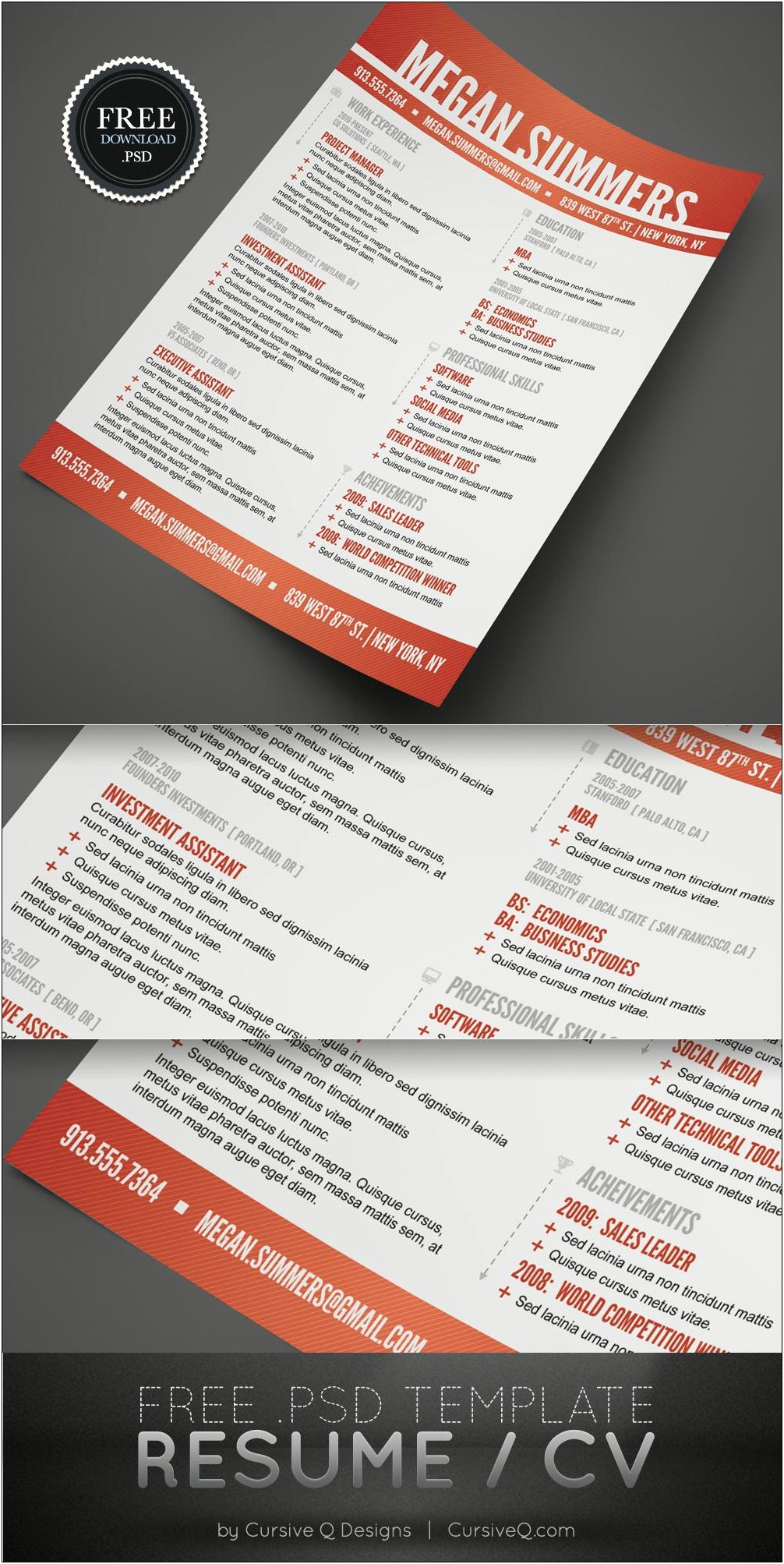Swiss Style Resume Free Download