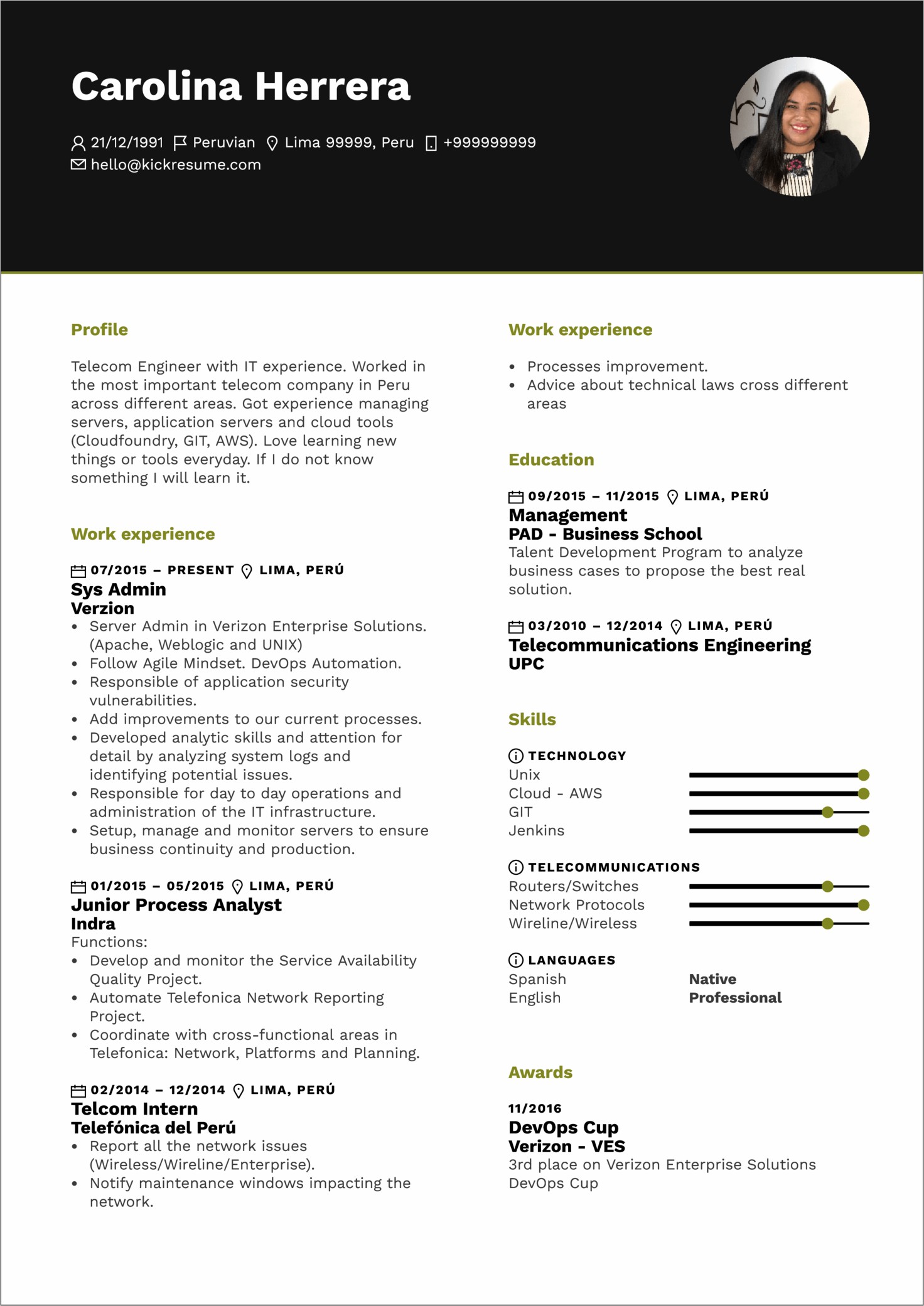 System Administrator Resume Summary Examples
