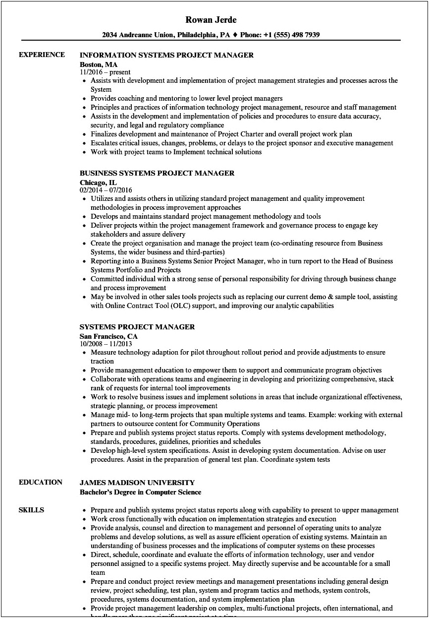 System Project Manager Resume Sample