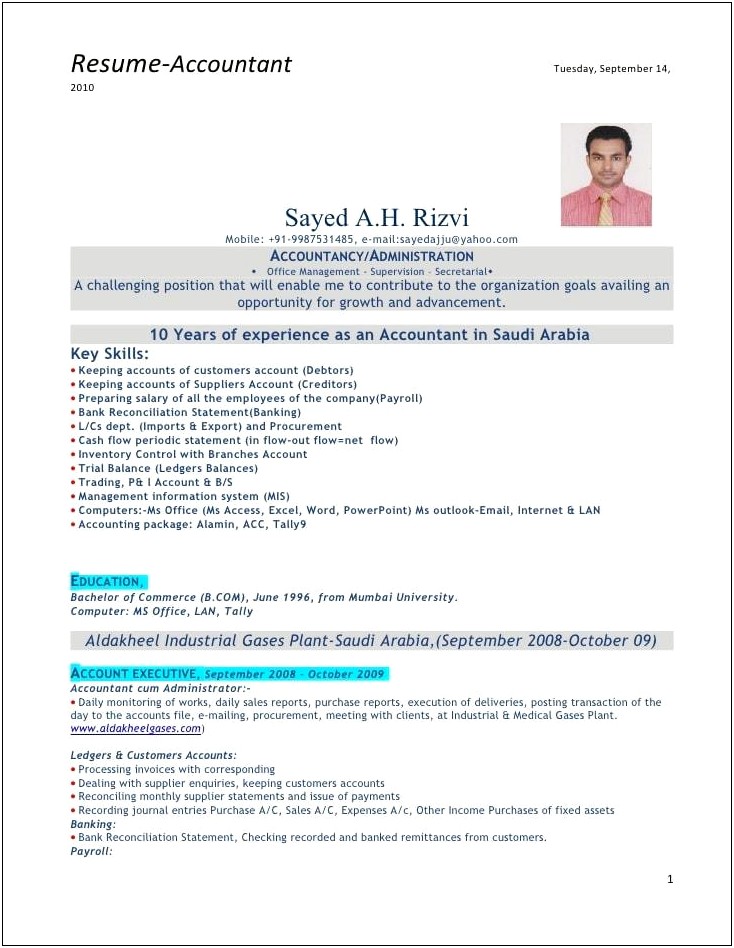 Tax Consultant Resume Sample India