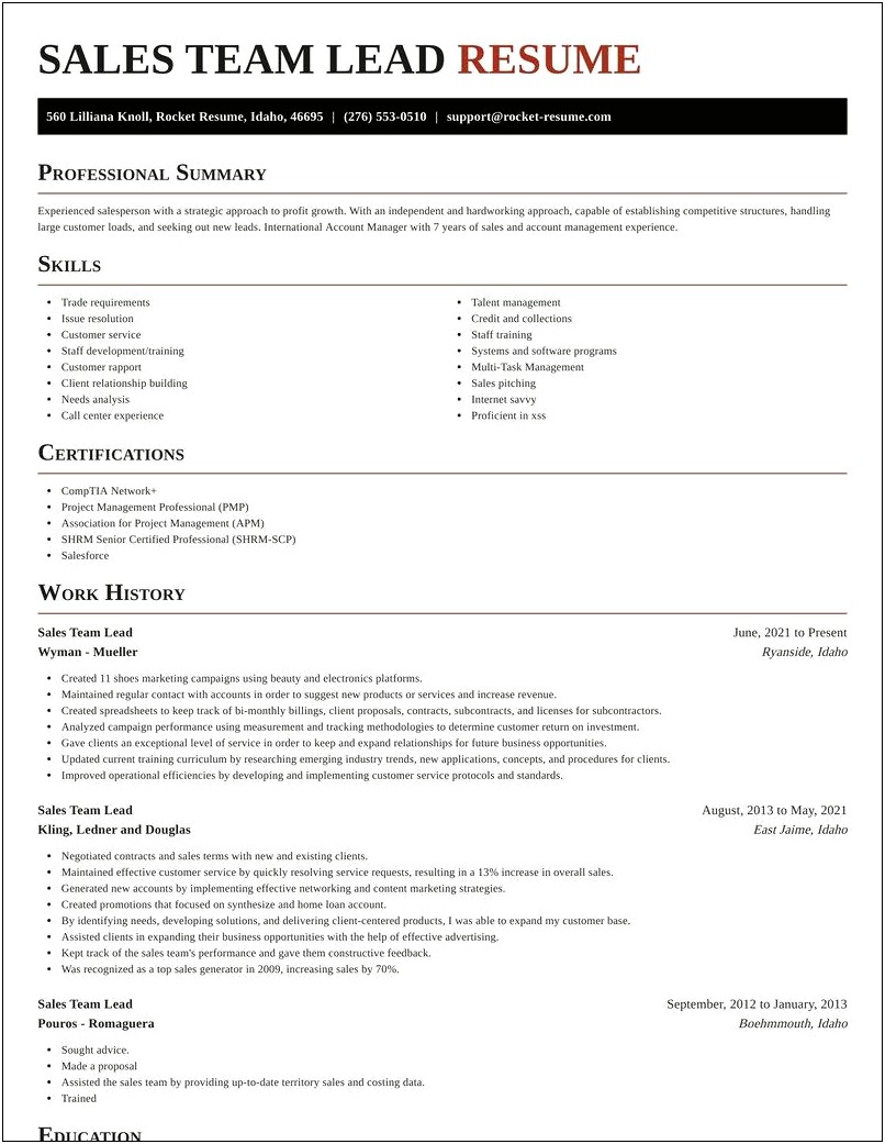 Team Lead Resume Summary Examples