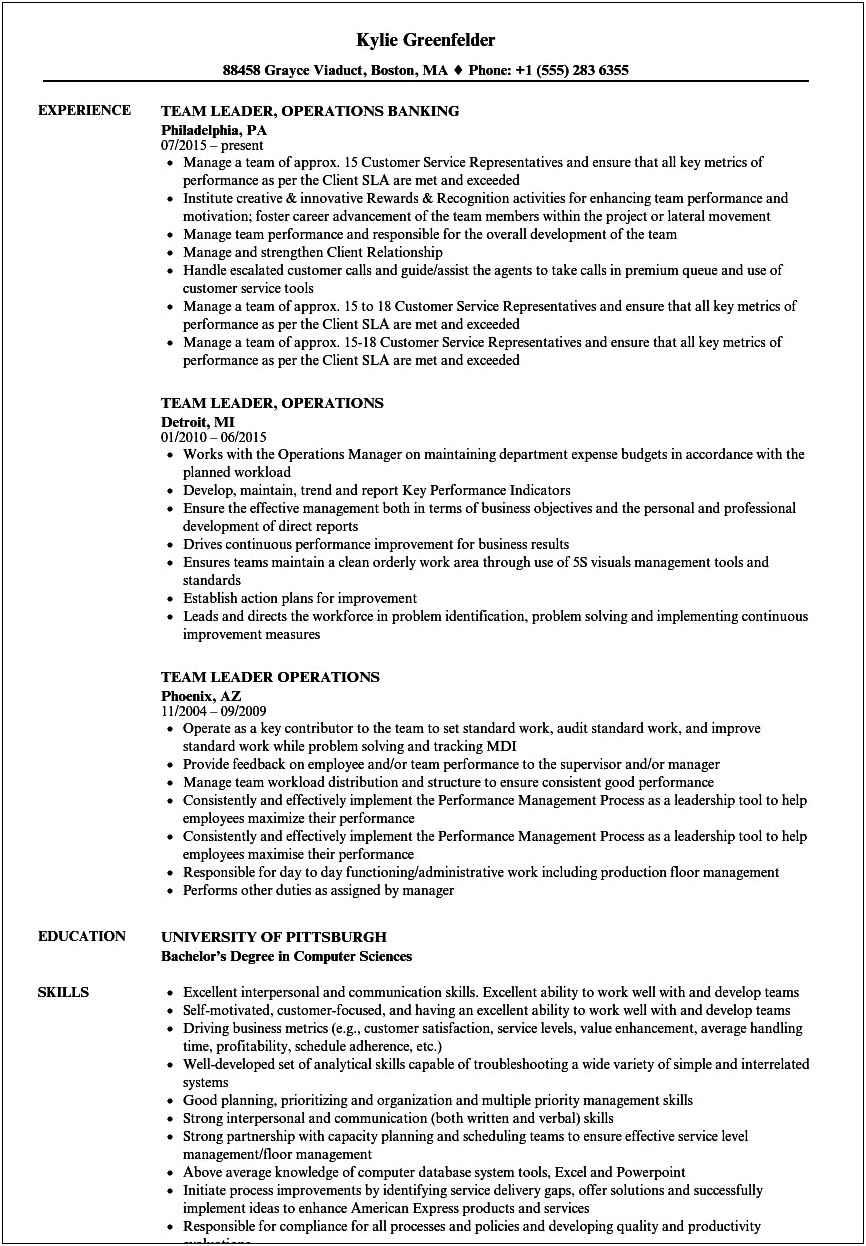 Team Member Job Description Resume