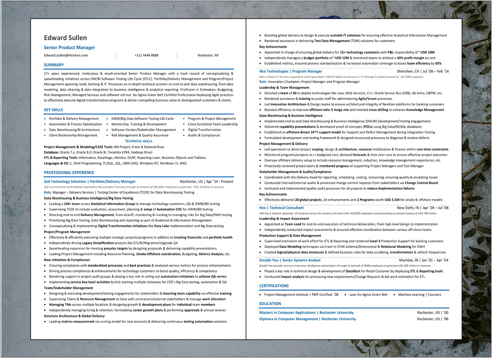 Technical Product Manager Resume Summary