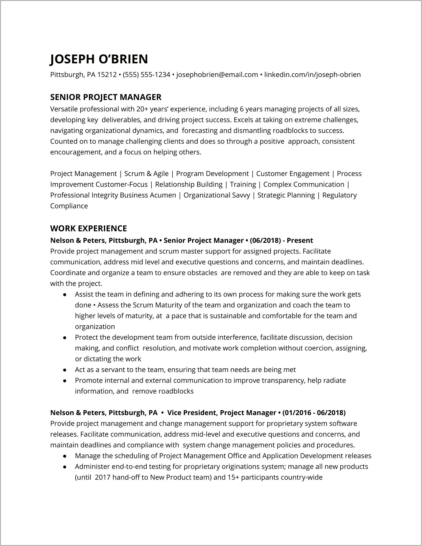 Technical Project Manager Role Resume