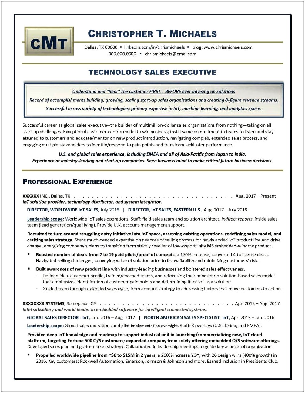 Technical Sales Executive Resume Sample