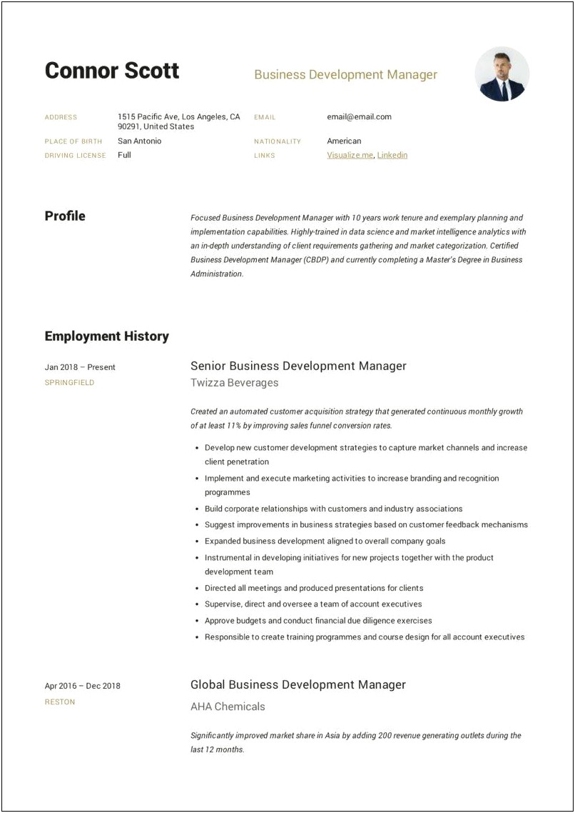 Technical Staffing Account Manager Resume