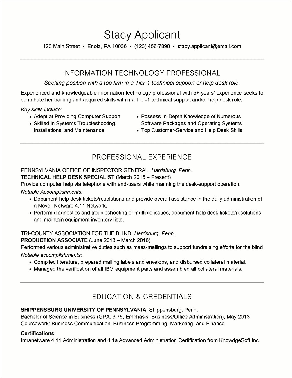 Technology Resume Summary Statement Examples