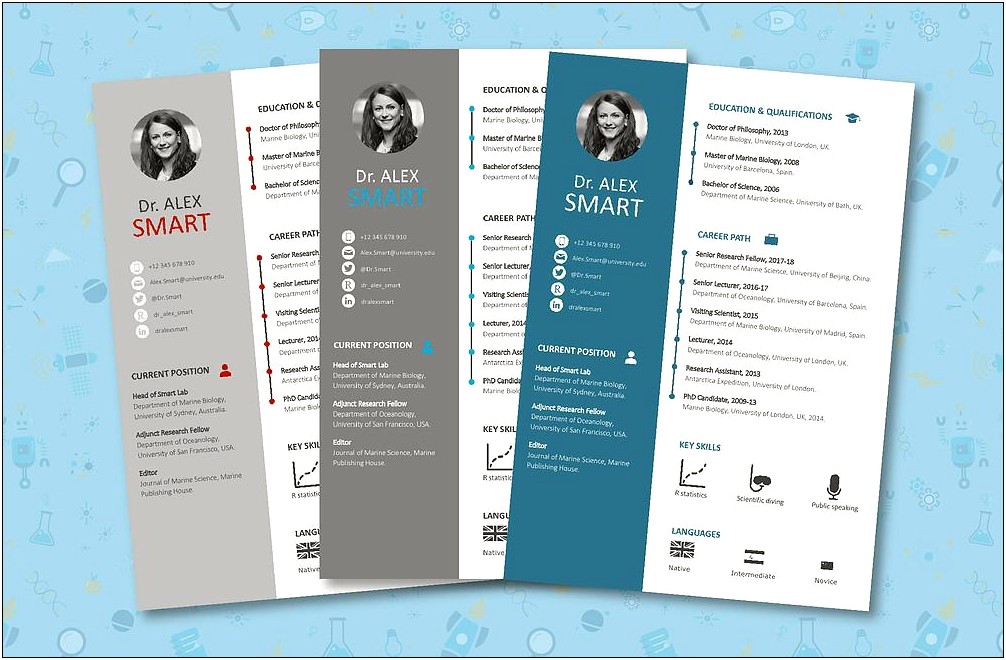 Template Resume Cv Infographic Free