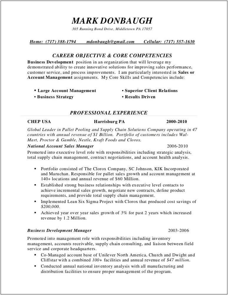 Territory Sales Manager Resume Template