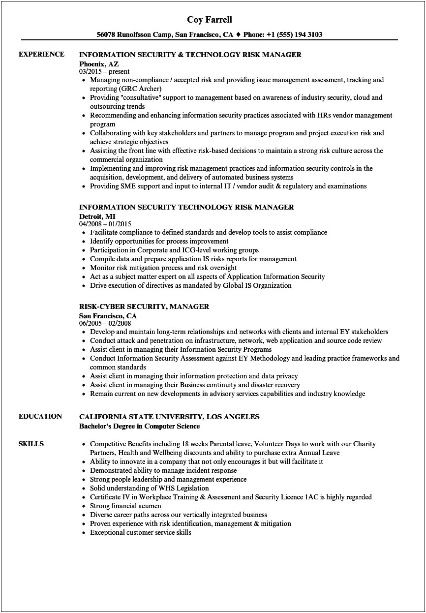 The Perfect Risk Manager Resume