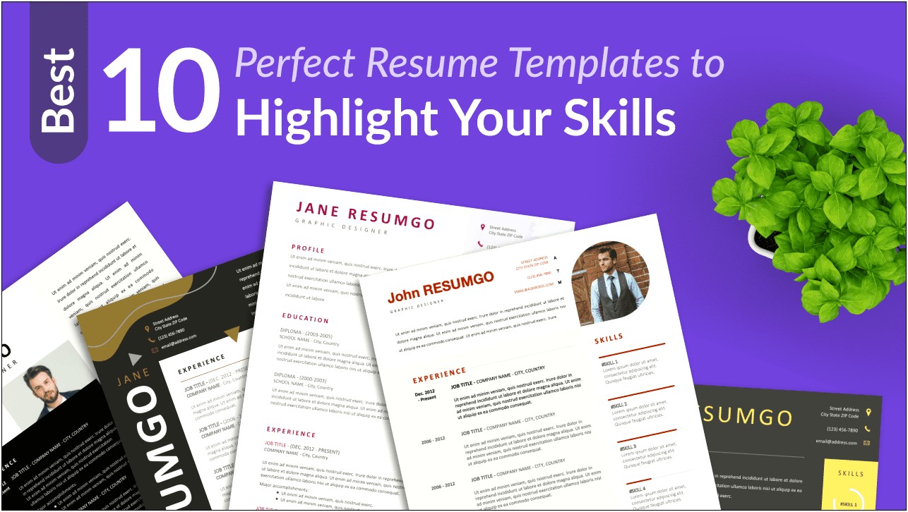 Top Rated Free Resume Templates