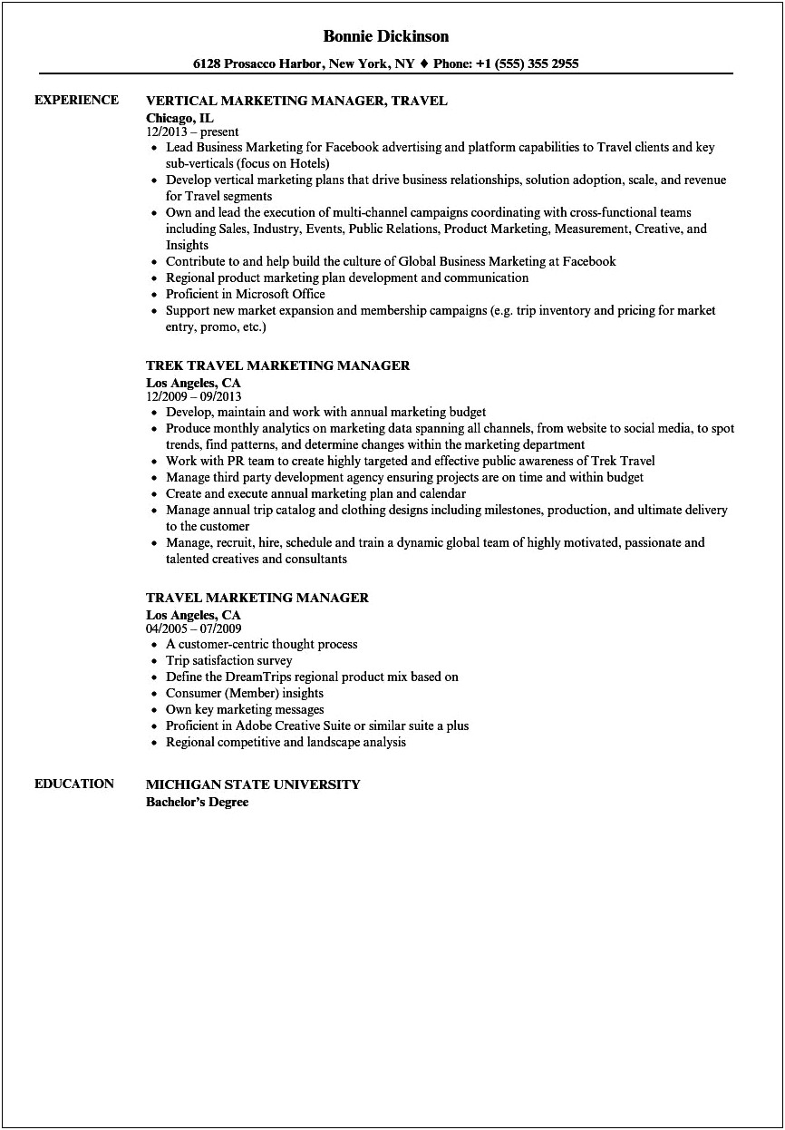 Travel Sales Manager On Resume