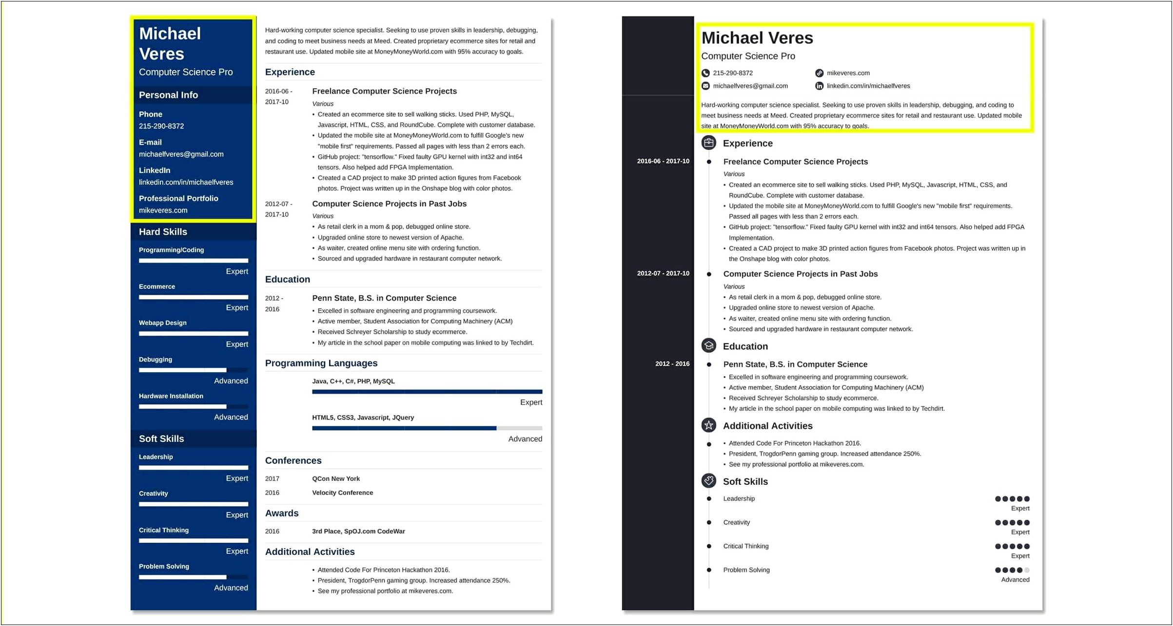 Two Page Resume Goo Example