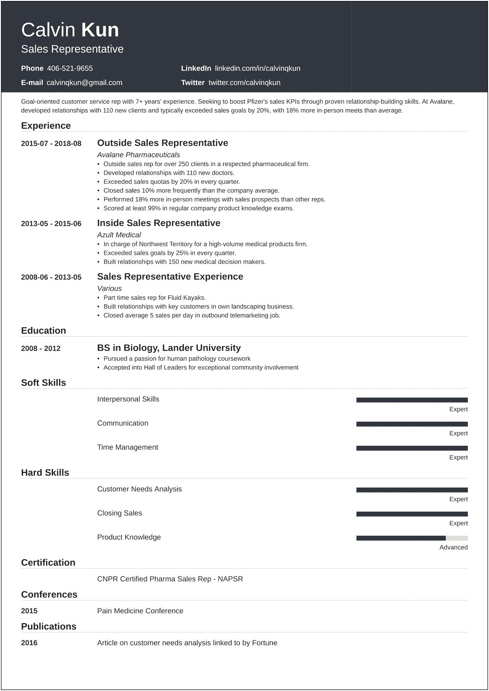Verizon Sales Representative Resume Example