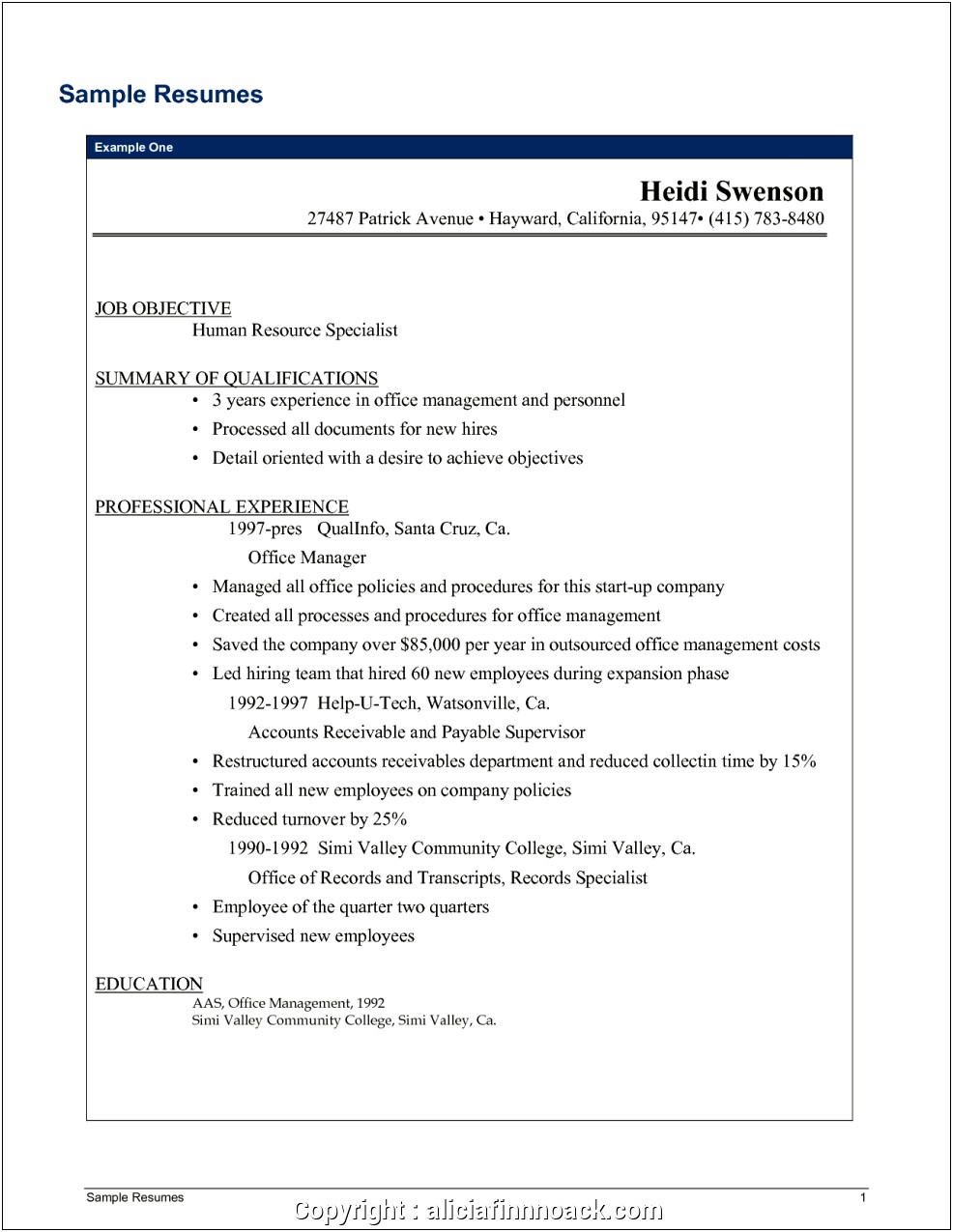 Veterinary Practice Manager Resume Template