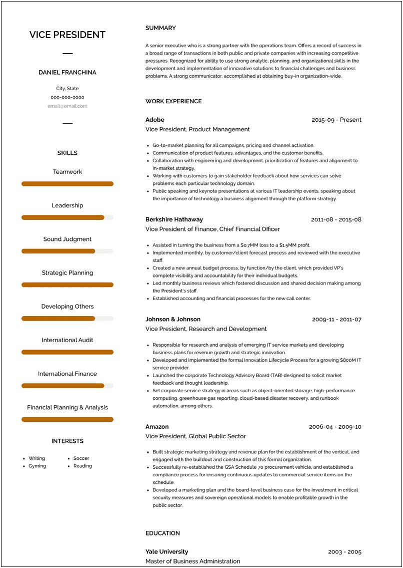 Vice President Product Management Resume