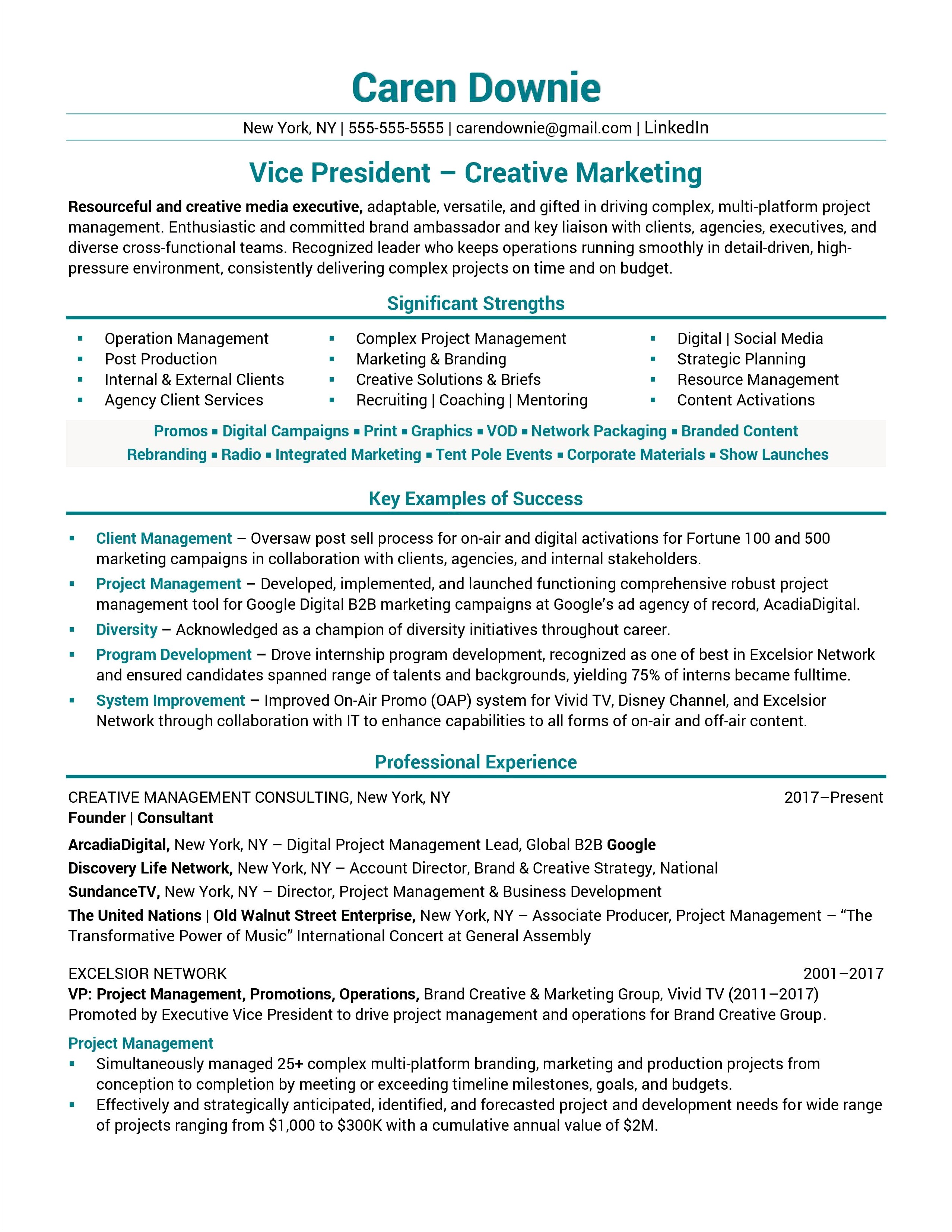Vp Digital Marketing Resume Example