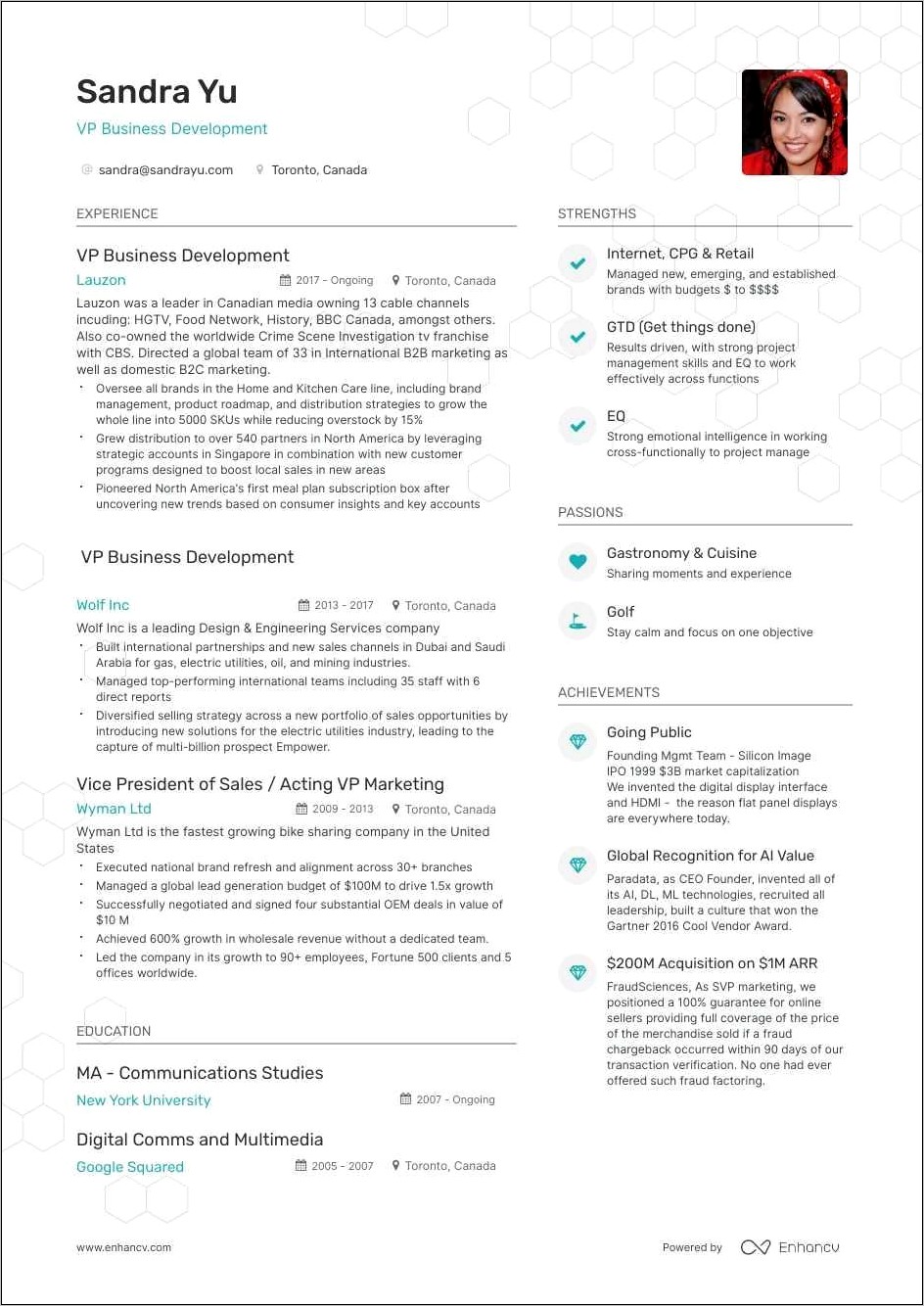 Vp Of Development Sample Resume