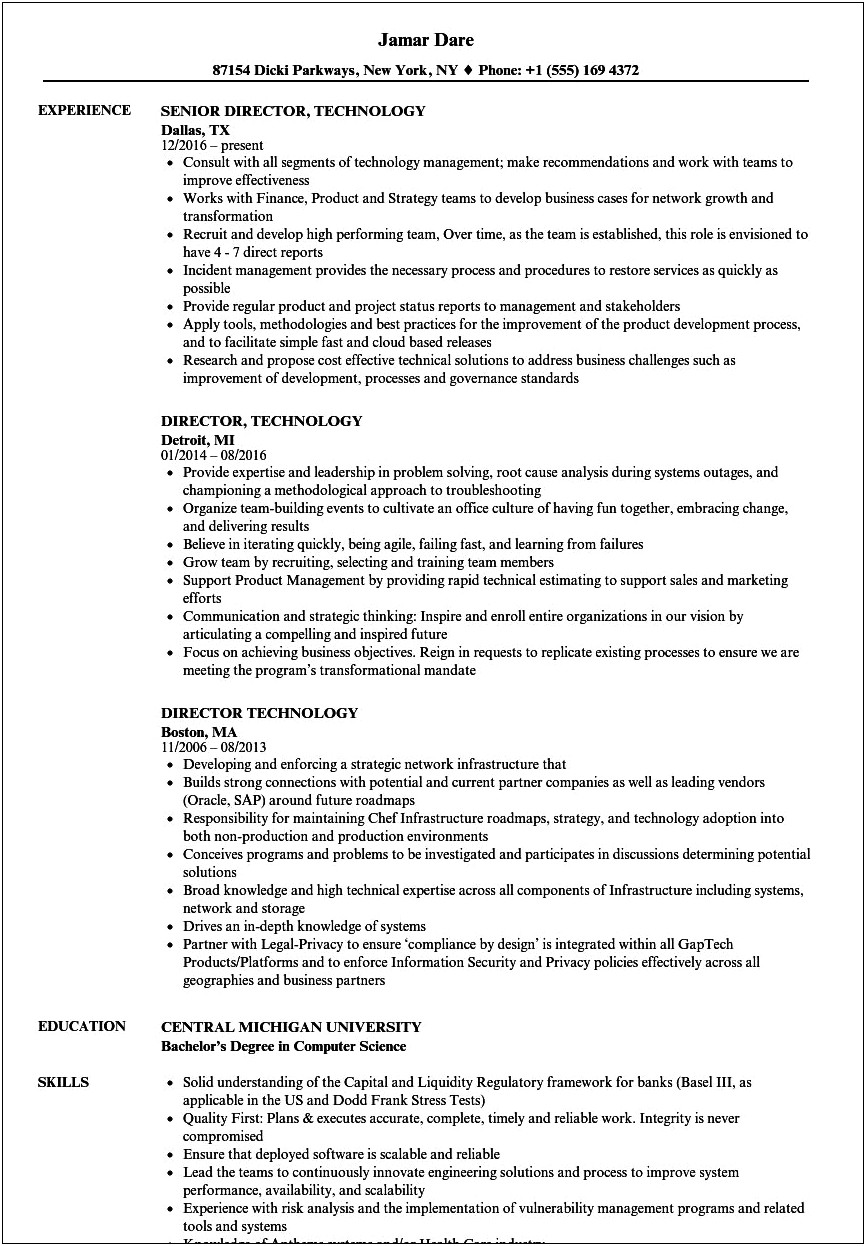 Vp Of Technology Resume Examples