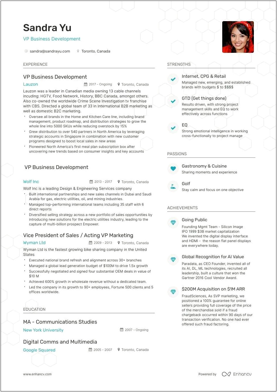 Vp Operations Resume Examples Free