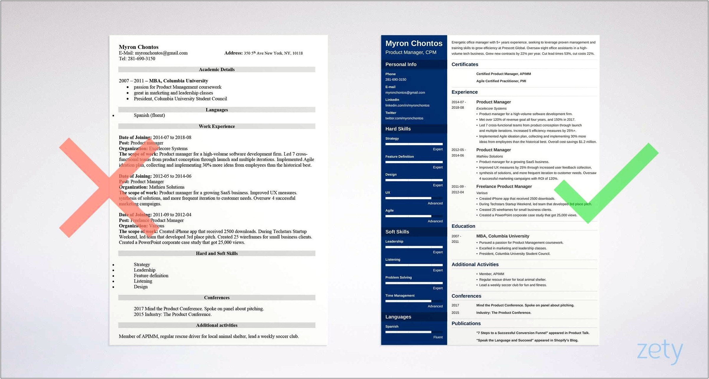 Vp Product Management Resume Examples