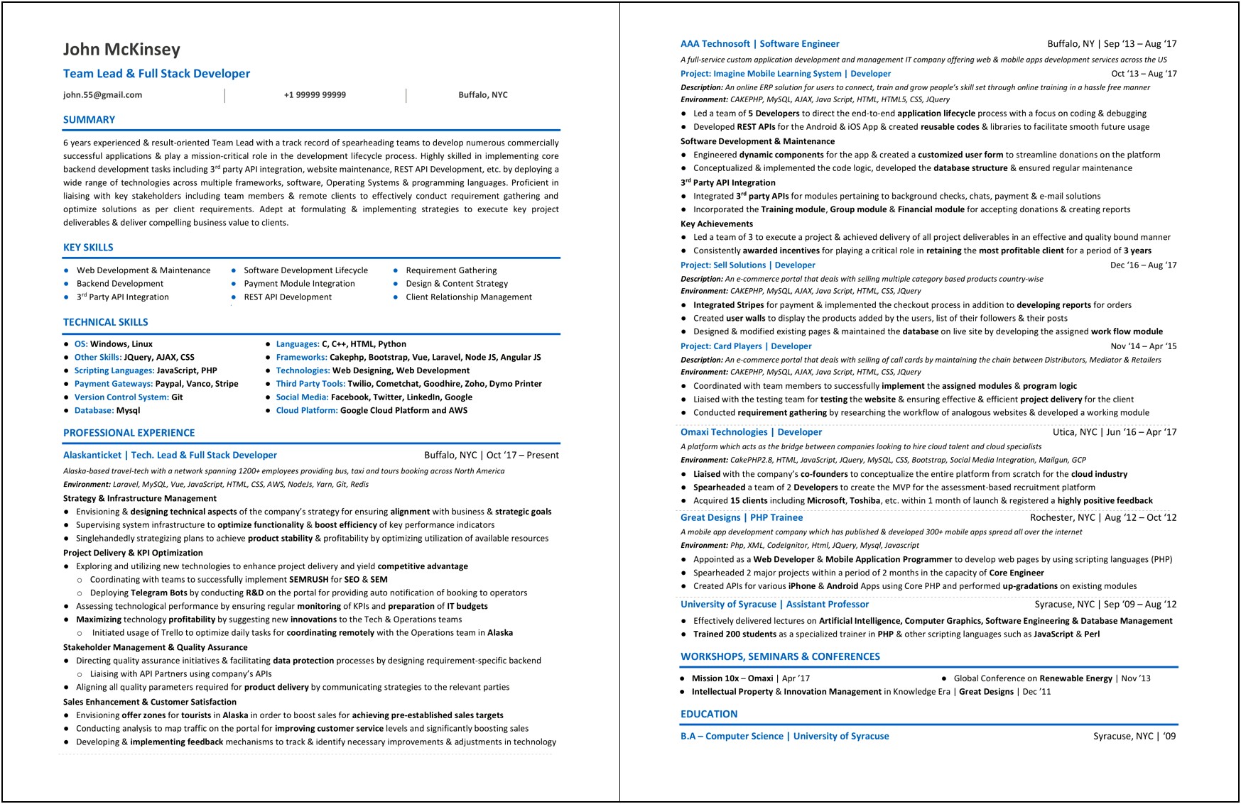 Web Developer Resume Summary Sample