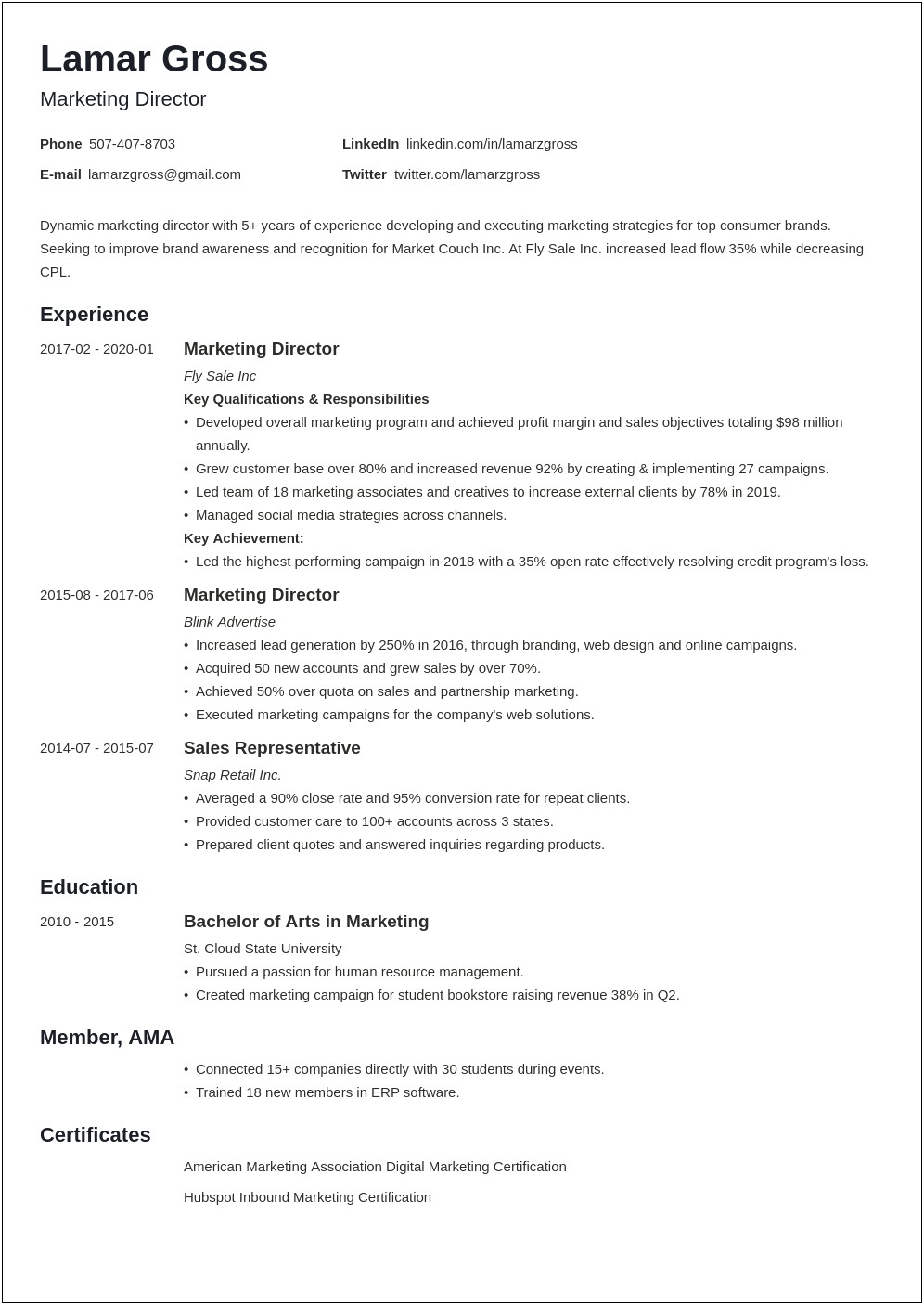 Sample Resume For Director Of Marketing
