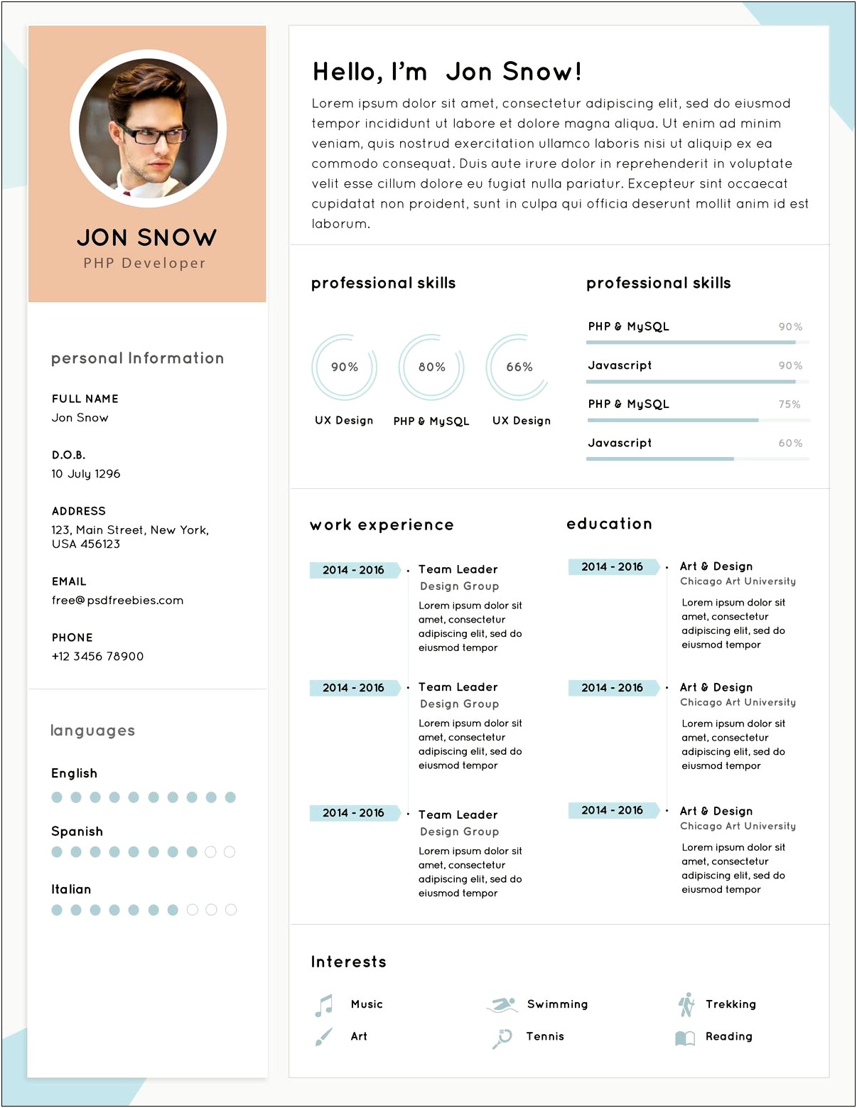 Sample Resume For Experienced Php Developer Free Download