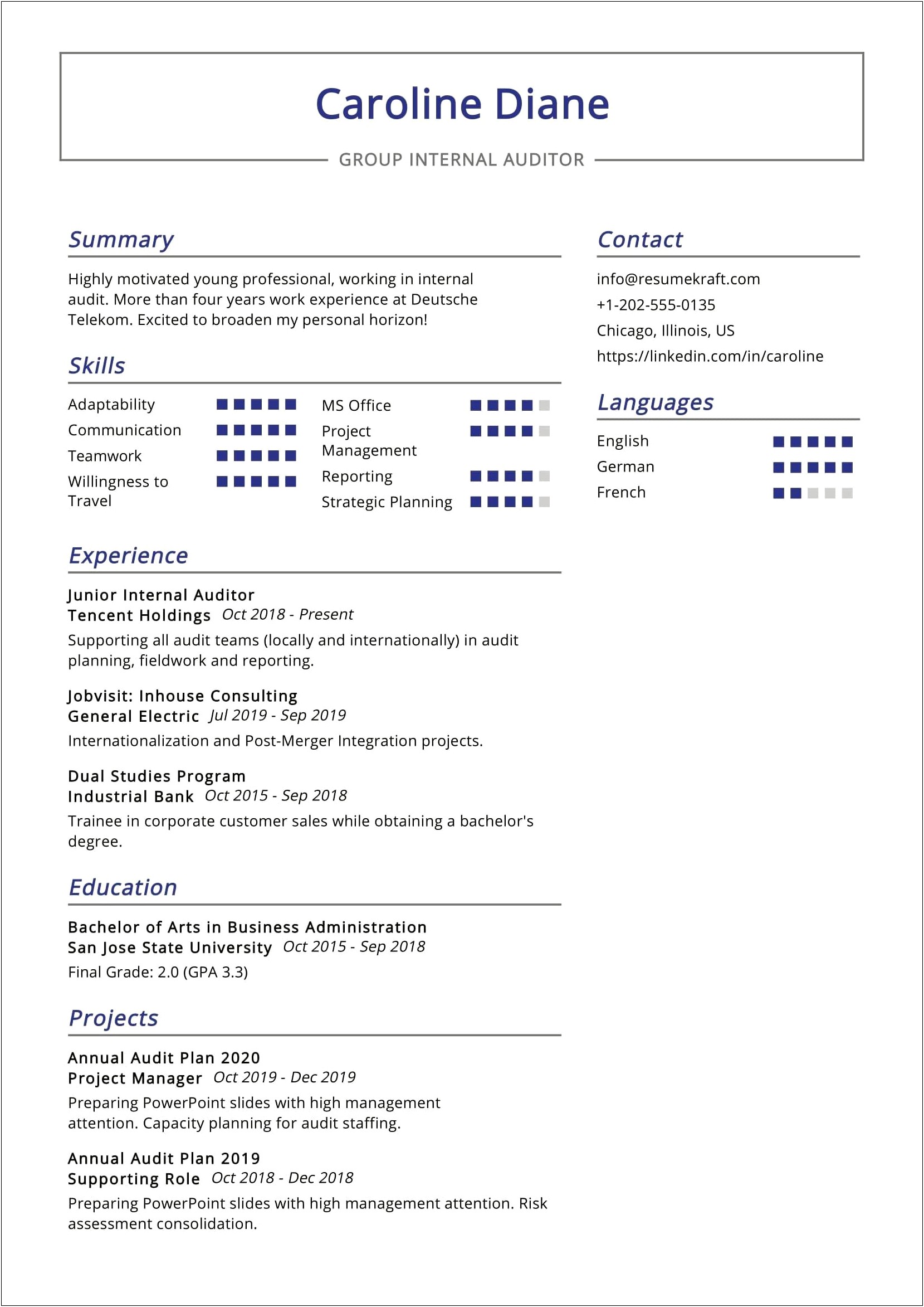 Sample Resume For Head Internal Audit