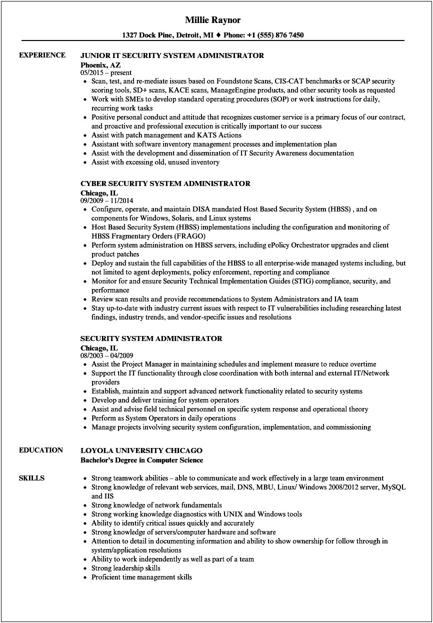 Sample Resume For I T Security Plus Jobs