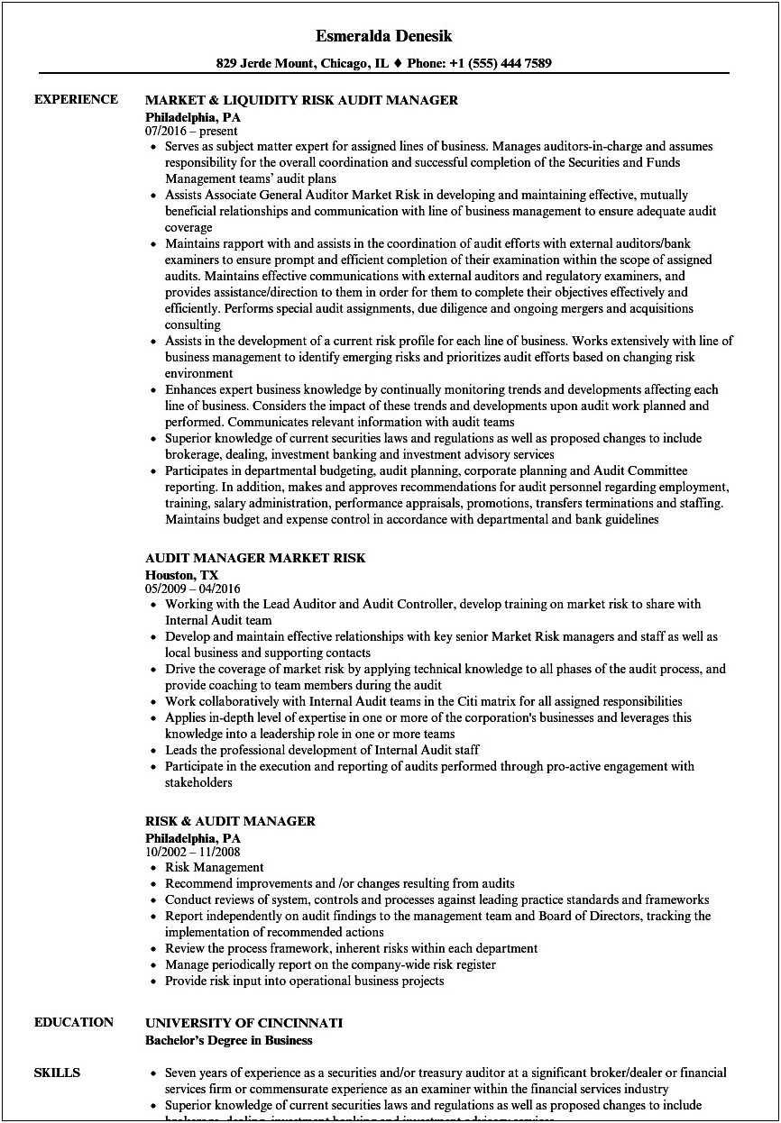 Sample Resume For It Audit Manager