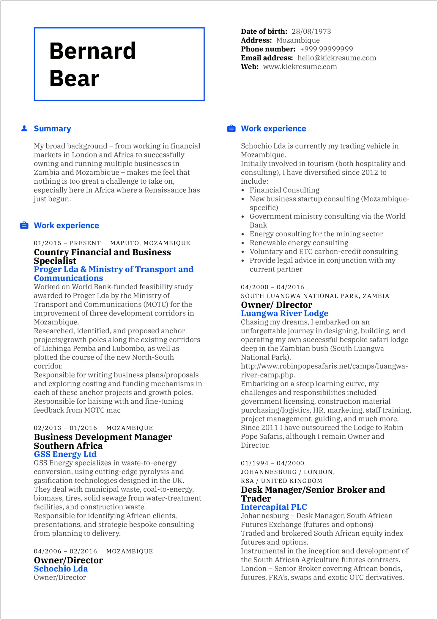 Sample Resume For Partner Business Cunsulting