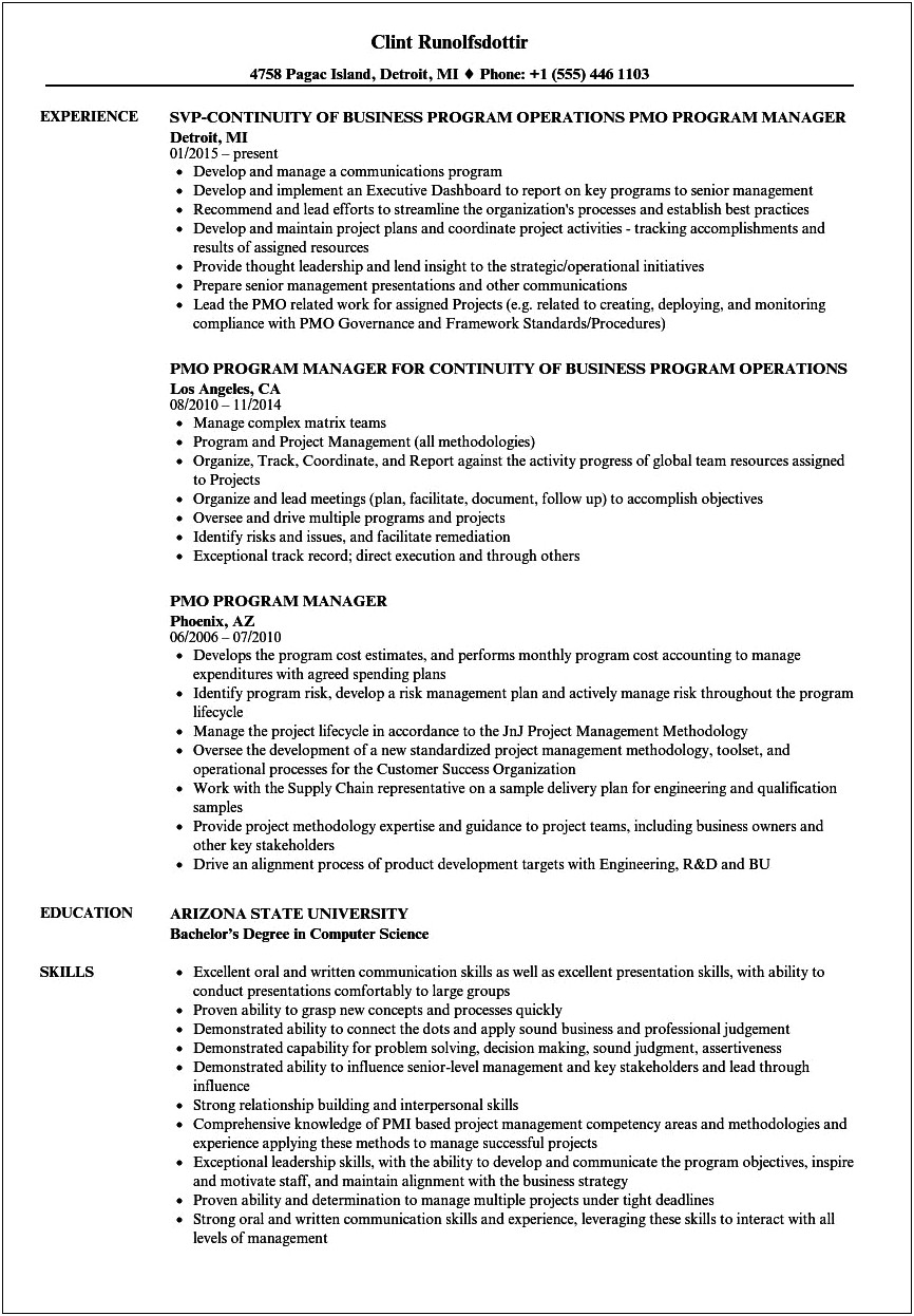 Sample Resume For Program Manager Position