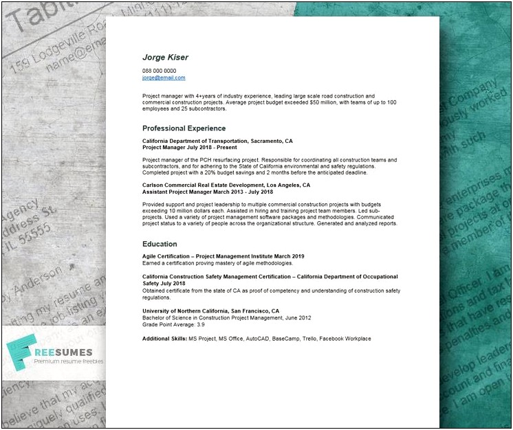 Sample Resume For Real Estate Project Manager