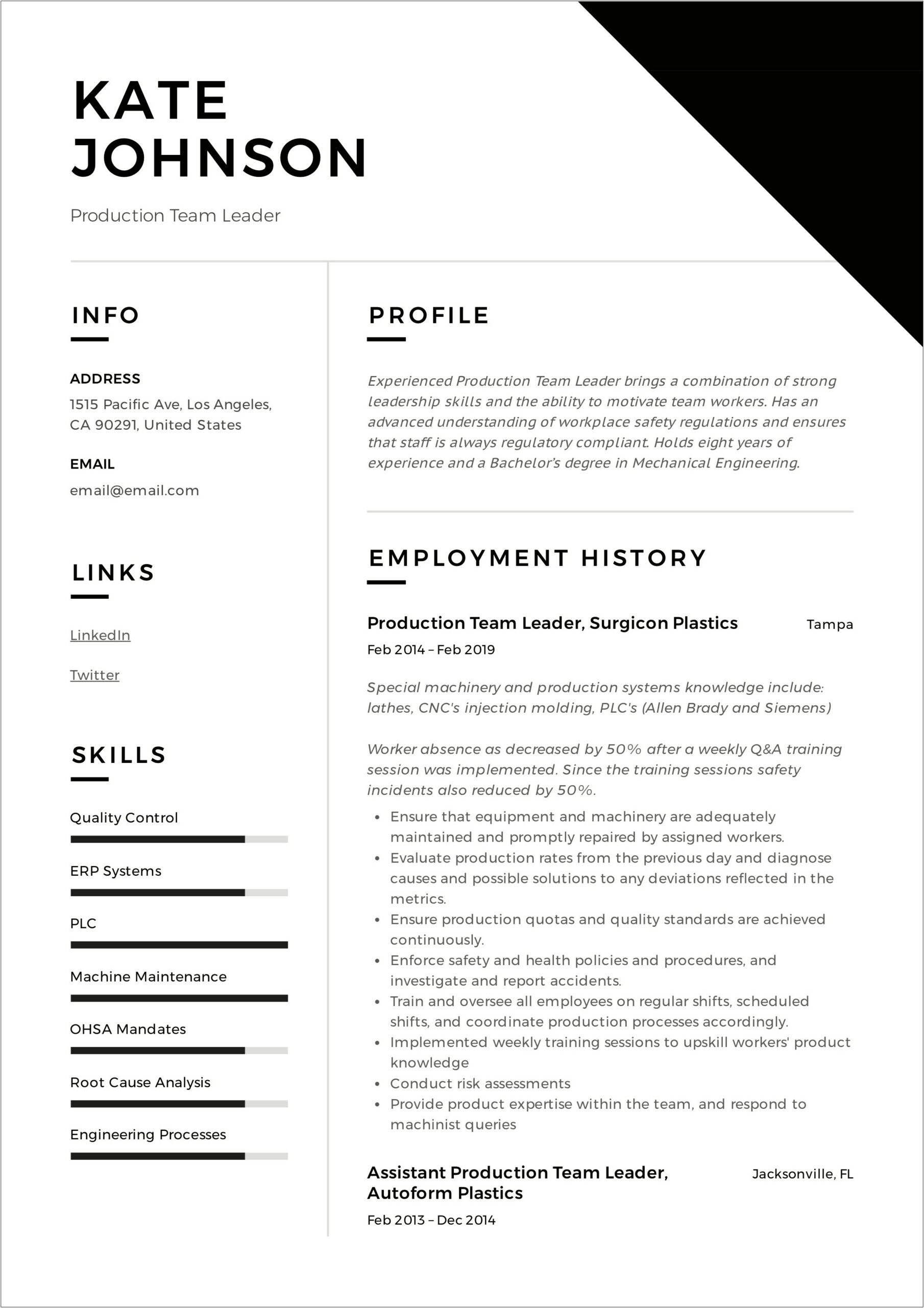 Sample Resume For Team Leader In
