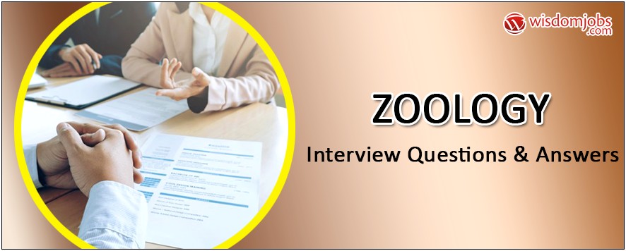 Sample Resume Format For Zoology Freshers