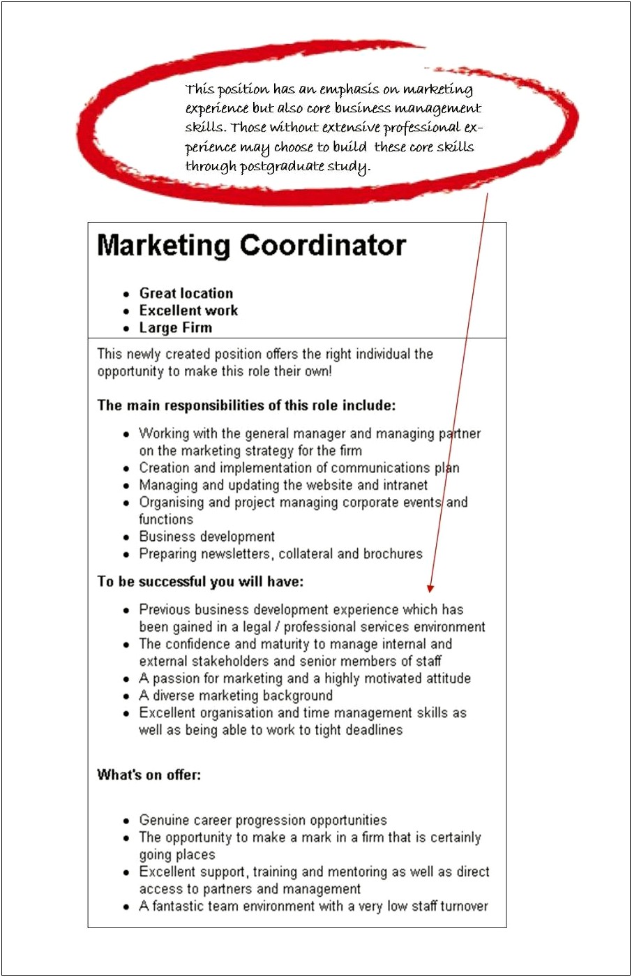Sample Resume Objectives For Marketing Coordinator