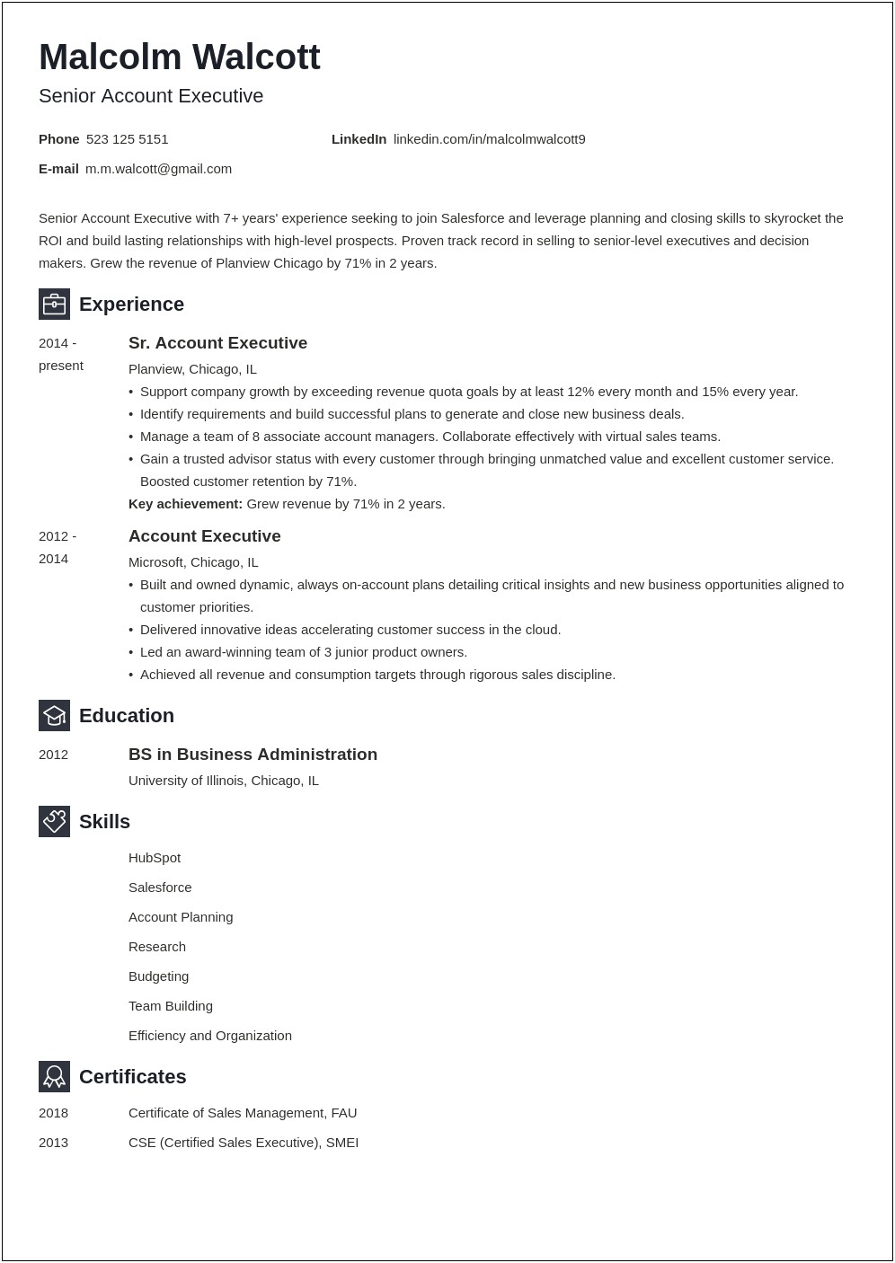 Samples Of Functional Resumes Account Executive