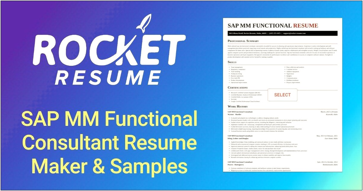 Sap Fico End User Experience Resume