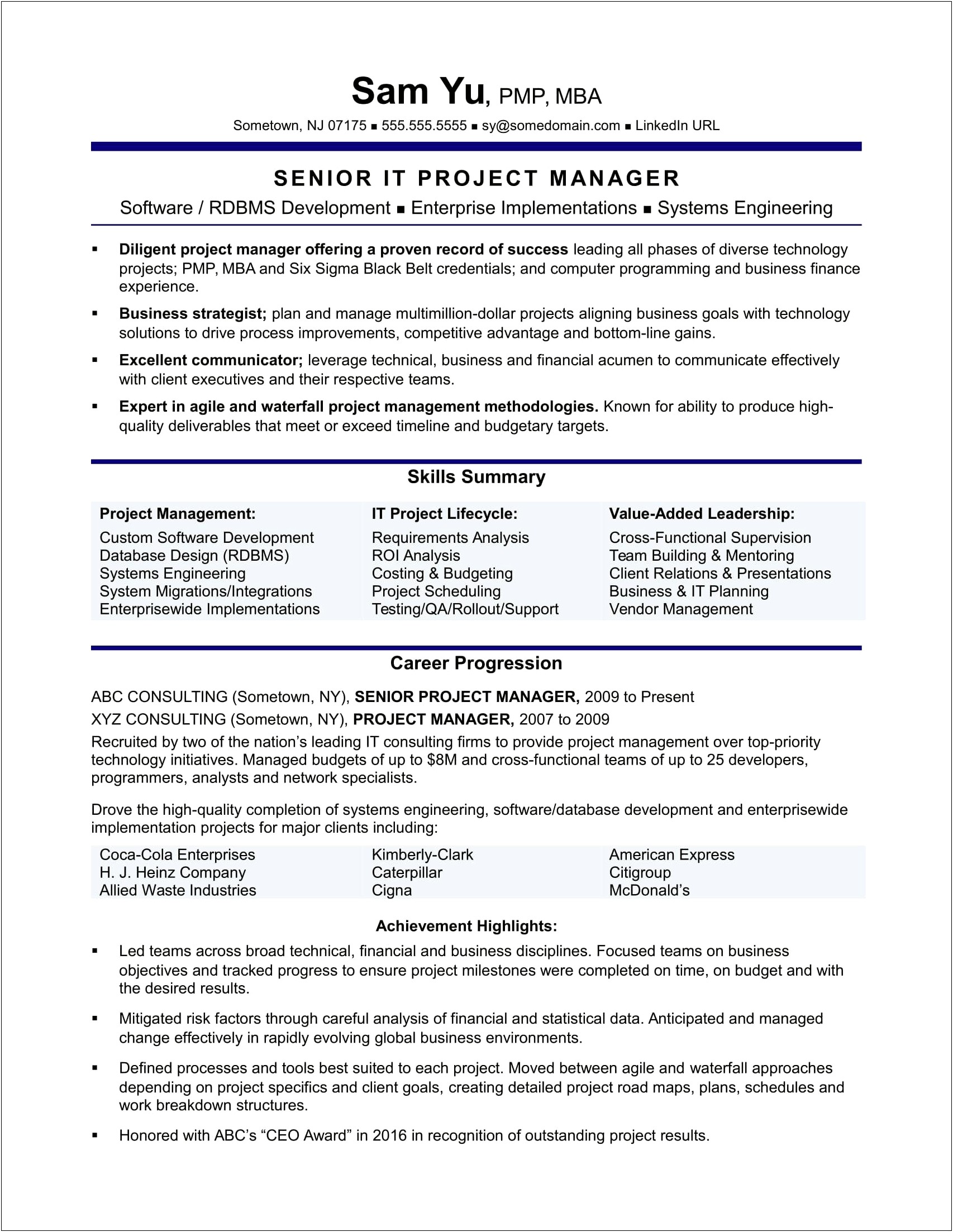 Senior Level Management Professional Resume Sample